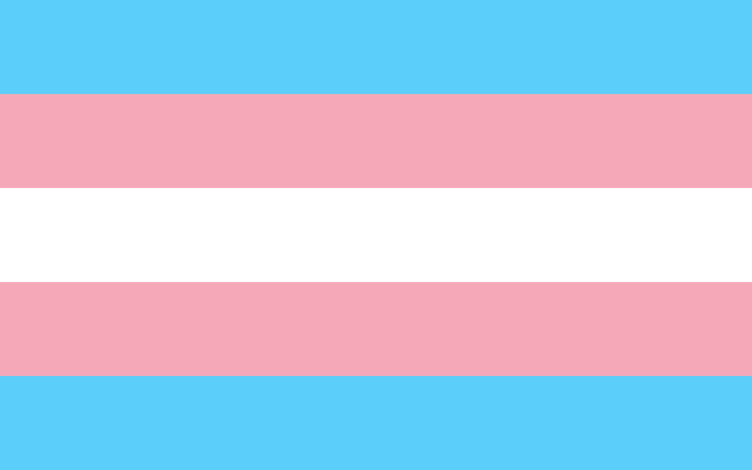 Transgender Awareness Week (11/14-11/20)